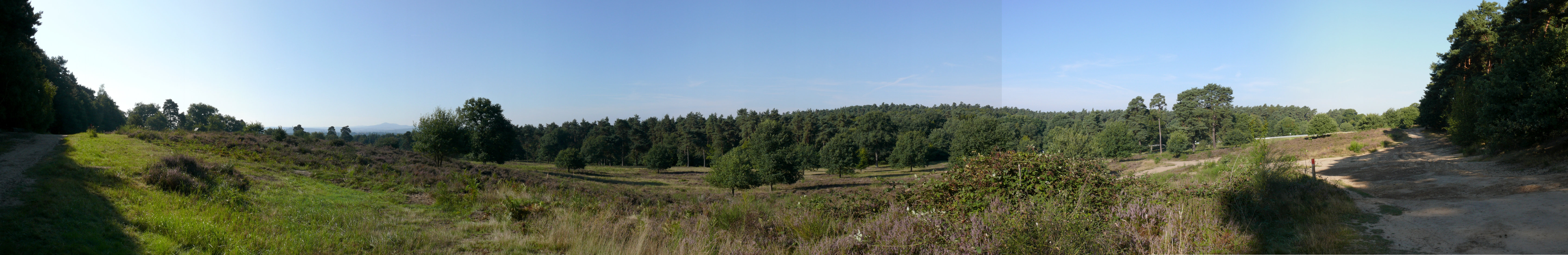 Panorama Wahner Heide